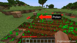 Use these 22 proven flowers to attract bees to your pollinator garden in your backyard. How To Fertilize Crops With Bees In Minecraft