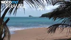 Guadeloupe's fauna has changed since colonial times, in part as a result of hunting, which reduced the islands' biodiversity. Guadeloupe Travel Documentary From The Season Caribbean Moments Youtube