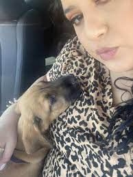 West chula vista, chula vista. The Pet Clinic 3326 Main St Chula Vista Ca Veterinarians Mapquest