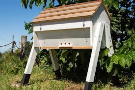 These hives come in at almost half the price. Beekeeping For Beginners Langstroth Vs Top Bar Hives Lady Lee S Home