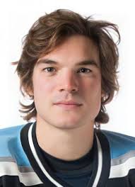 Player photos for the 2015-16 Peoria Rivermen at hockeydb.com