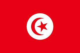 Find the perfect tunisia flag stock photos and editorial news pictures from getty images. File Flag Of Tunisia 1959 1999 Svg Wikimedia Commons
