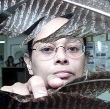 The long path toward recognition