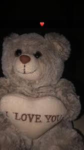 Hoes Beruang Teddy Gambar Teman Kutipan Gambar