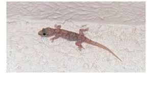 اوضاع الجماع بالصور مقال للمتزوجين وذلك لكي يحدث تجديد وتنشيط الحياة الزوجية وكذلك التغلب على الروتين والملل الذي يصاحب الجماع وايضا لتحسين العلاقات الاسرية. Facebook