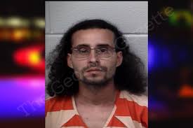 Edwin Santiago — Paulding County Jail Bookings