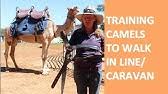 Dvd • january 1, 2012. Camel Caravan 2019 Youtube