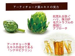 大人毛穴にアプローチ アンサージュ 3日間トライアルセットのレビュー Find Of Cosme