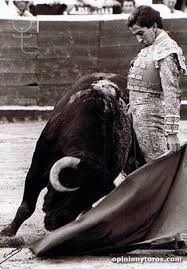 Pin De Greg Vince En Bullfighting Con Imagenes Toros Y Toreros Toros De Lidia Toros