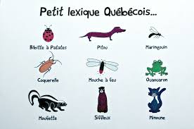 Petit Lexique Quebecois Des Animaux La Boite De Marie Pour C Tiguidou Quebec French Quebec French Phrases