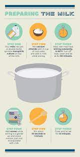 Making Cheese Curds At Home Food Wine