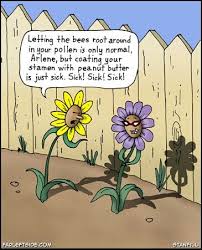 Pin On Garden Humor