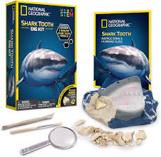+ 2 243,53 rub доставка. Amazon Com National Geographic Shark Tooth Dig Kit Excavate 3 Real Shark Fossils Including Sand Tiger Otodus And Crow Shark Great Science Gift For Marine Biology Enthusiasts Of Any Age Toys