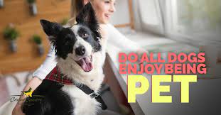 Do All Dogs Enjoy Being Pet Canine Country
