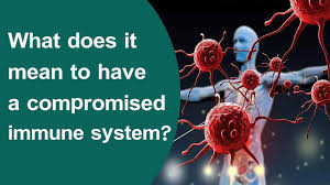 Not susceptible to an obligation enforced on other people; What Does It Mean To Have A Compromised Immune System Telugu Health Tips 2018 Youtube