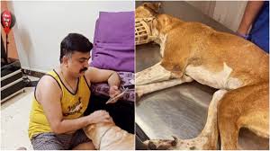 Cruel! Dog Owner Brutally Beats, Kills Stray Dog In Front Of His Pet In  Mumbais Vile Parle; Horrific VIDEO Surfaces