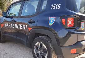 29,331 likes · 42 talking about this. Controlli Sul Territorio Il Resoconto Dei Carabinieri Forestali Corriere Dell Irpinia
