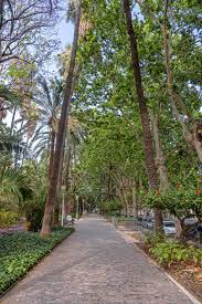 Image result for parque