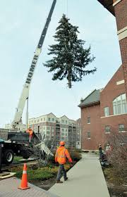 Mt. Prospect Couple Brings In Holidays