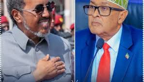 Letter to President of Somaliland: “The Unity Is the Only Cure to Heal Our  Nation!”