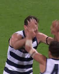 We regularly add new gif animations about and. Geelongcats Gifs Get The Best Gif On Giphy