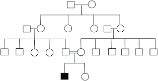 Pedigree Chart Of The Subject Download Scientific Diagram