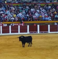 Archivo:Toro lidiado por Emilio de Justo en Plasencia 2020.jpg - Wikipedia,  la enciclopedia libre