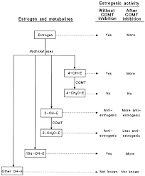 Image result for COMT Inhibitor