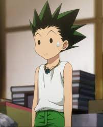 Things that are not aesthetic #108 idk how this feels i live in oregon. Gon Freecss Hunter Anime Gon And Killua Hxh Pfp