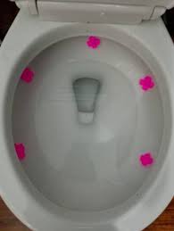 A black ring in your toilet bowl is a pretty gross sight to behold! Problem Solving Products For Anyone Who Hates Cleaning Their Bathroom