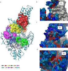 This empowers people to learn from each other and to better understand the world. Energy Coupling Factor Transporters As Novel Antimicrobial Targets Bousis 2019 Advanced Therapeutics Wiley Online Library