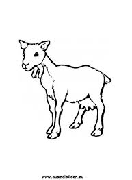 Ausmalbild Ziege Zum Ausmalen Ausmalbilder Ausmalbilderziegen Malvorlagen Ausmalen Schule Kindergarten Tiere In 2020 Ausmalbilder Tiere