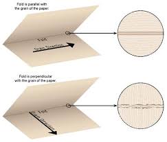 Bookbinding For Beginners By Florence O Bookbinding Book Making Book Binding