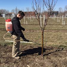 Esteem 35 wp vydate l endosulfan 3 ec. When To Spray Apple Trees To Protect Them From Pests And Diseases