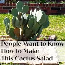 General rules to get the guck off the rug. People Want To Know How To Make This Cactus Salad Wisemommies
