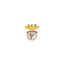 Sport Lisboa E Benfica Pin Sl Benfica