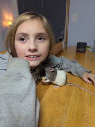 Meeting interesting pets today