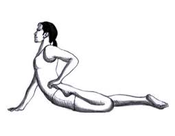 Ardha Bhekasana Half Frog Pose Info The Half Frog Pose Ardha Bhekasana Is A Pose Is One Of The Most Difficult And Challenging Yoga Poses This Pose Has M