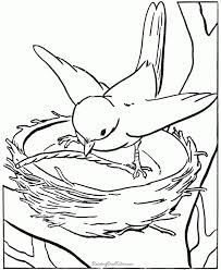 These pictures are easy to draw and coloring for toddlers but contain enough detail for older kids to enjoy coloring pages as well. Free Printable Bird Coloring Page Novocom Top