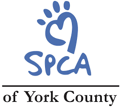 Search our extensive list of dogs, cats and other pets available for adoption and rescue near you. York County Spca Home