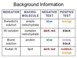 Pin On Biochemistry Macromolecules