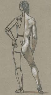 A challenge for any artist is to draw the human body and understand its anatomy. Structures And Planes Of The Figure Classic Human Anatomy In Motion The Artist S Guide To The Dynamics Of Figure Drawing