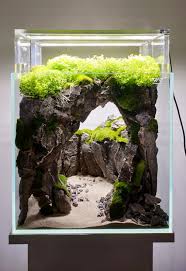 Ancient Stone Glued Scape For Nano Aquarium In 2020 Nano Aquarium Aquarium Landscape Fish Tank Terrarium