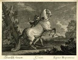 Add some information about martin elias ridinger. Martin Elias Ridinger British Museum