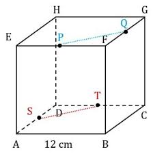 Jawabannya 60 cm 3 karena 4x3x560 cm 3. Contoh Soal Dimensi Tiga Geometri Ruang Matematika Wajib Sma