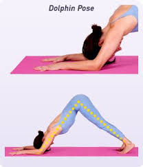 Pin On Yoga