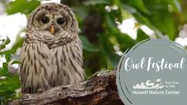 Owl Festival