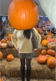 Image result for fat ass pumpkin