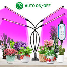 Für einen schnellen überblick schauen sie einfach in unseren grow lampen vergleich, welcher alle vorgestellten led pflanzenleuchten kurz und bündig vorstellt. Top 10 Wachstum Uber Alles Pflanzenlampen Wowest