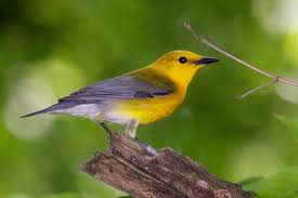 Do you have any suggestions? Eurekalert Science News Releases